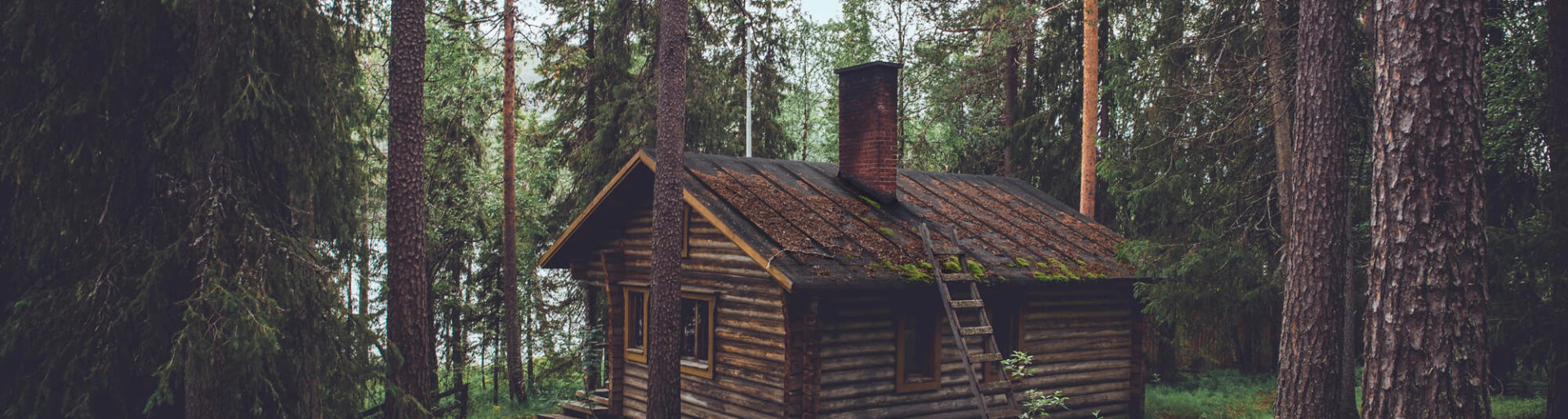 Waldbörse Header: Wald finden und Wald kaufen