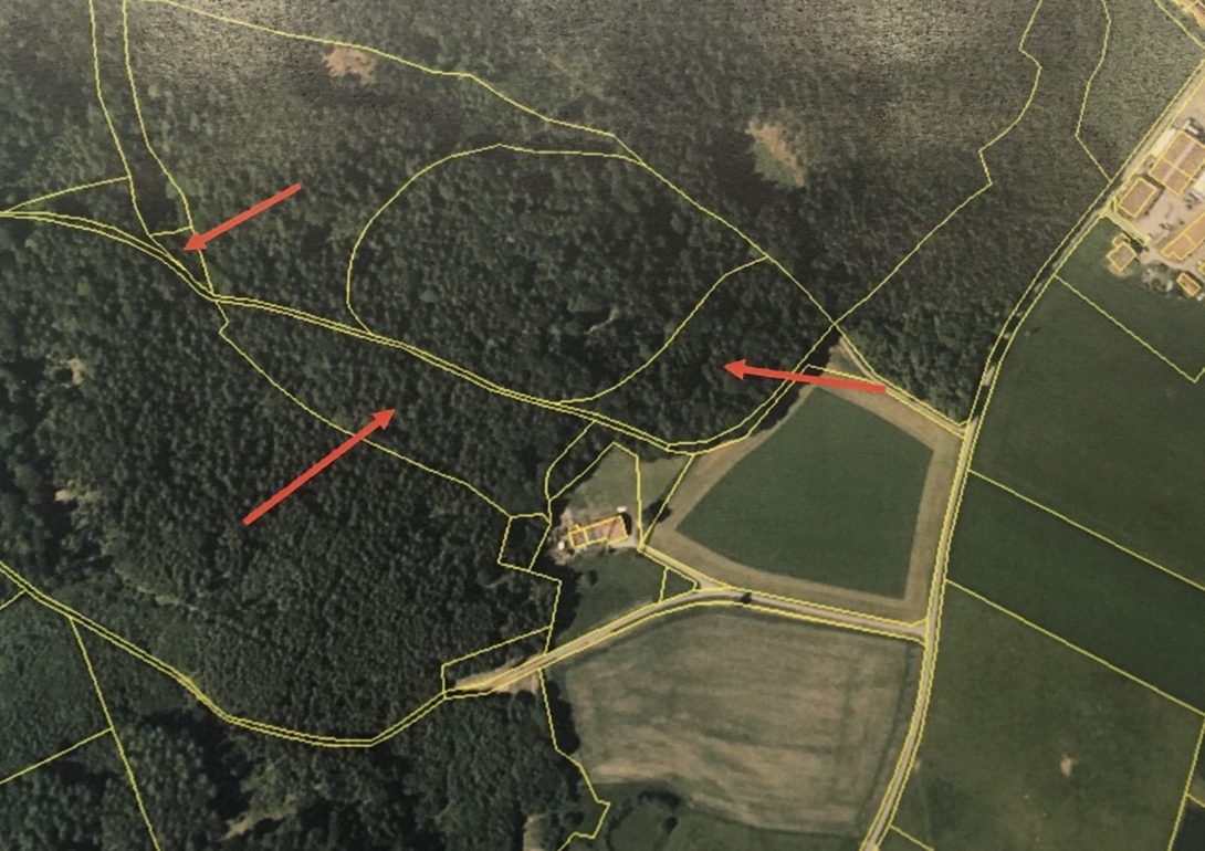 Waldgrundstück mit sehr gutem Bestand bei 94344 Zinzenzell View